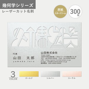 IWi h쐬 􉽊w X^[h[ [U[Jbg I[_[  VNx V Vv ݊   CpNg  30yC[WmFz