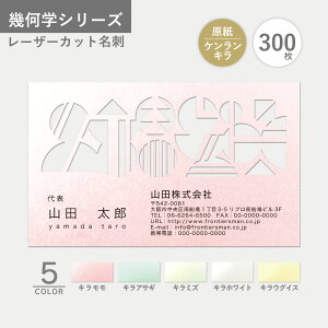 IWi h쐬 􉽊w PL [U[Jbg I[_[  VNx V Vv ݊   CpNg  30yC[WmFz