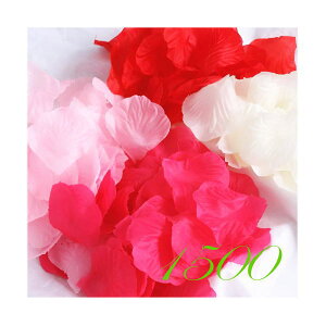 t[V[   a EGfBO  Ԃт  ~bNX 1500 KN o t[y^ p[eB[ Cxg 񎟉 OB  Be