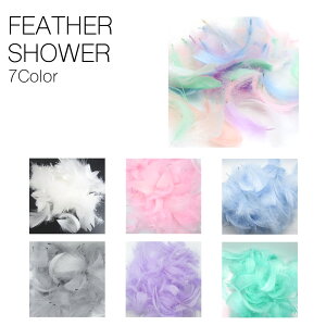 tFU[V[ 200 H S7F t[V[ CXV[ EGfBO uC_ u[P  񎟉 OB j a 