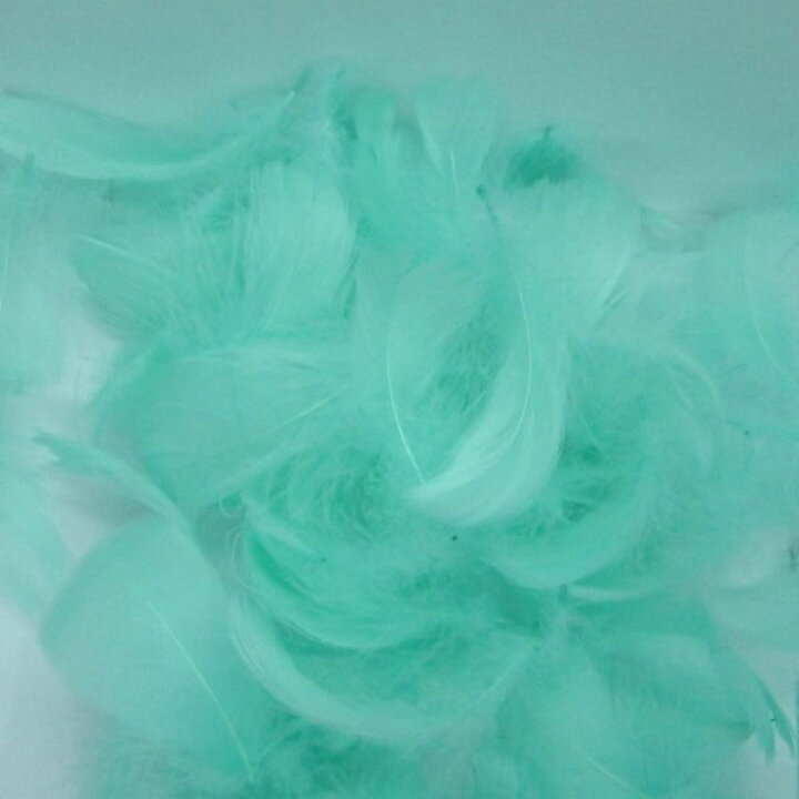 逆輸入 フェザーシャワー 0枚 羽 全7色 フラワーシャワー ライスシャワー ウエディング ブライダル ブーケ 結婚式 二次会 前撮り お祝い 誕生日