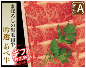 yN12/20܂ŁzyS`ogɓoIzyMtgΉz܂ڂ낵̍јaI@׋o@ēpyyMt_̂zyyMt_̂zyRCPz