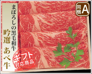 yN12/20܂ŁzyS`ogɓoIzyMtgΉz܂ڂ낵̍јaI@׋ėpyyMt_̂zyyMt_̂zyRCPz