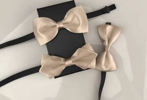 lN^C q j̎q l Y  \ ptH[}X  ߑ ߉\ ȒP  n |Cebh Vp 