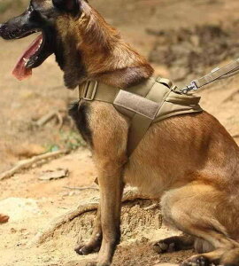 n[lX  ʂ ^NeBJ xXg [h [v obN Xgbv TCY߉\  ʃt@Xi[ iC U AEghA Vv  F ʕ