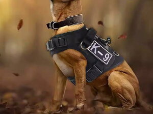 n[lX  ʂ ^NeBJ xXg [h [v obN Xgbv TCY J\  ʋC U AEghA Vv  J[L 