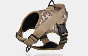 n[lX  ʂ ^NeBJ xXg obN Xgbv TCY߉\  hn ˍ ʃt@Xi[ ʋC bV IbNXtH[h U AEghA    