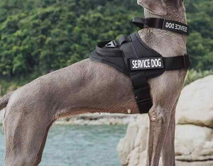 n[lX  ʂ ^NeBJ xXg [h [v obN Xgbv TCY߉\  ʃt@Xi[ ʋC  iC U AEghA Vv F  ʕ