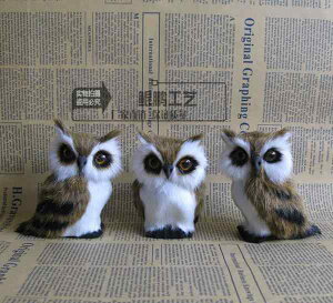 IuWF CeA u I[ig rO [   i A ^ tNE  Mtg  W{ ʐ^   f  Zbg 蕨 nhCh  q 