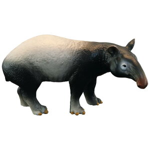 A  tBMA  ߋ ͌^ u qǂp LbY jZbNX Fm  v[g oN AWA }[