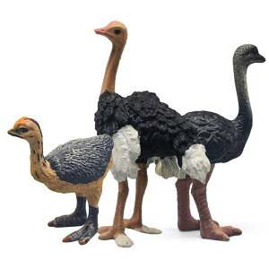 A  tBMA  ߋ ͌^  u qǂp LbY jZbNX  Fm v[g I[Xgb` _`E 쐶