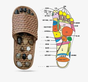 C{C{ Xbp c{ }bT[W N Y fB[X w ~ ƒp  I[V[Y uE Vv n