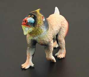 A  tBMA }h 쒷 AtJ 쐶 Aj}  ͌^ ~j`A mߋ ̐} q  CeA v[g RNV AvRbg PVC