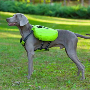  bN ybgpi ThobO obNpbN iC EVA ʋC bV n[lX [h  R ߉\ [ ֗ ȒP y |[` e U AEghA s L