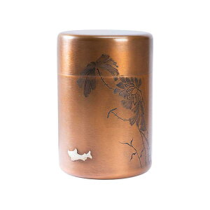 t ۑe  g ۊ P[X XgbJ[   W [ ƒp Lb`    AeB[N    