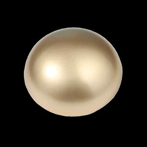 {^  ւ uU[  t 㒅 WPbg nhCh |pi ٖD ^ Eh ^  Vv S[h Vo[