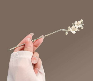 񂴂 m   wA ANZT[ ؂₩ t@bV  g Õ    s 킢