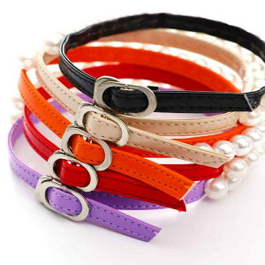 pvX Xgbv t p[ C R nCq[ E h~ XG[h AN obN PU AvRbg   ₷  ߉\ fB[X