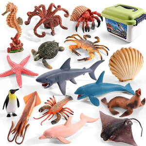 Cm tBMA Zbg  T NW CJ  q j̎q ̎q vX`bN  [{bNX ~j`A RNV  mߋ A  v[g 