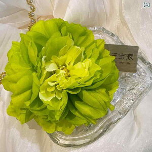  p[c ANZT[  sN IW GKg Vv i` CeA  ̓ LO a v[g t`