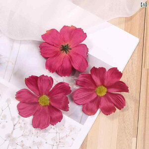  p[c RXX tFCNt[ ߑ Xq C fR[V Vv i` Jt sN F  a CeA