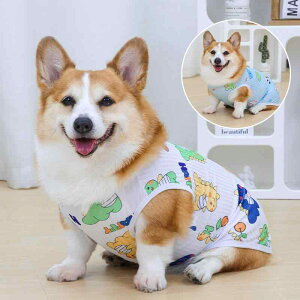  ĕ  傫TCY  ʋC ^ ^ R[M[  gCv[h t   JWA U іh~  F