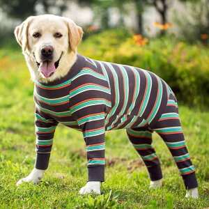 ^   S[fgo[ uh[ TGh ё΍  XgCv F  n ʕ JWA sN  