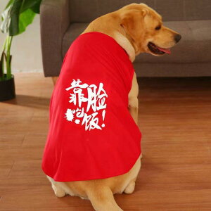  ĕ   bV іh~ ʋC xXg S[fgo[ uh[ nXL[ JWA U   