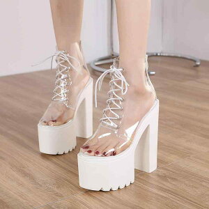 T_  fB[X   ؍ pu [XAbv nCq[ q[ NXXgbv Xe[W  V[gu[c zCg ubN