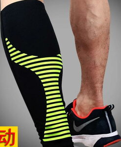 ӂ͂ T|[^[  X|[c \bNX oXPbg{[ jO TCNO Y fB[X j   XgbLO ی g[jO ^Cg  ʋC ~ J