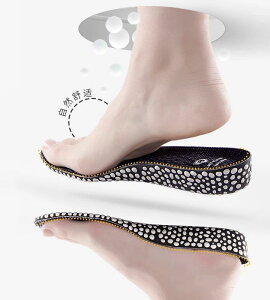 V[NbgC\[ Y fB[X X|[c Ռz A[`T|[g z ɂ ubN O[ O[ hL K ʋC