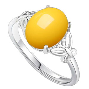 O g Vo[  GXjbN w y  p[c nhCh ANZT[  J ig  fB[X 8*10