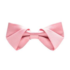 lN^C q j̎q w {E^C p tH  \ ܎O Xe[Wߑ ANZT[ tH[}  Vv n sN