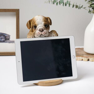 X}z u  z_[ X^h gѓdb ^ubg CeA I[ig  ӏ ׋ Lb` Q rO ^  k 킢 A 