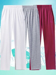 pc Y{ EGXgS  fB[X VjA ҏ[ 傫TCY Xgb` y  ӂ͂ VjA    XEFbg 9 Xg[g {gX ̌^Jo[ 