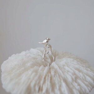 w fB[X  ANZT[ o[h `[t Mtg Vv Vo[ ̒ @ ׂ I I[vO 