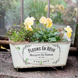 K[fjO v^[ AeB[N ݂艺 nMO oPc t[|bg Aؔ | G  ϗt  A 񂹐A oRj[   JtF  Vv  x