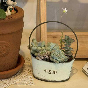 K[fjO v^[ AeB[N ݂艺 nMO  oPc Aؔ | G  ϗt  A 񂹐A oRj[   JtF   p