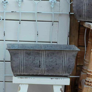 K[fjO v^[ AJ AeB[N lp` Aؔ | G  ϗt  A 񂹐A oRj[   JtF  Vv 