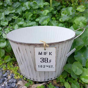 K[fjO v^[ AJ AeB[N  oPc Aؔ | G  ϗt  A 񂹐A oRj[   JtF  Vv    p