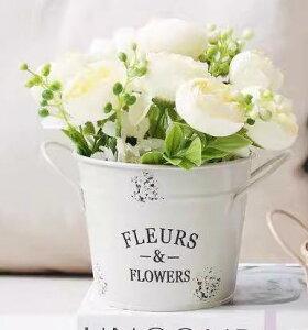 K[fjO v^[ k g Jg[  t[|bg Aؔ | G  ϗt  A 񂹐A oRj[   JtF    p