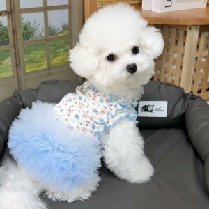  ^ t  vZX Pl ԕ [htbNt s[X hX XJ[g gCv[h rVt[[p  U o Cgu[ ӂӂ 킢 