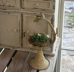 K[fjO v^[ AeB[N  S ̎} oRj[ A Aؔ KщH gtB[ Jg[   fR[V 