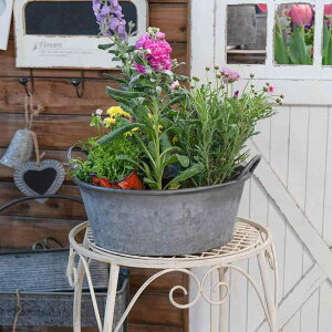 K[fjO v^[ Be[W  AJ S Aؔ oPc t[oXPbg Bep  O fR[V Vo[