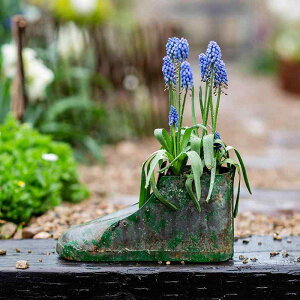 K[fjOG JS v^[ |pi S Aؔ u[c C g j[N oRj[ x_    A 