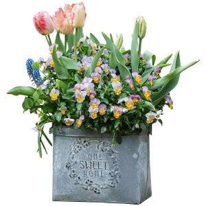 K[fjOG v^[ |pi S Aؔ oPc g  hCt[ A  oRj[ x_  킢