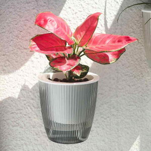 K[fjOG v^[ |pi Ǌ|  NA Aؔ |bg vX`bN d  t ~`  oRj[ x_    A