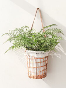 K[fjOG JS |pi t[oXPbg ܕt Ǌ| ݂艺   AWg  hCt[  i`