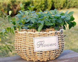 K[fjOG JS |pi  ҂ Aؔ oRj[ x_    ϗtA Yh~  i`