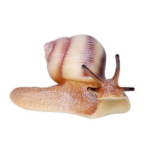 A   q LbY ̓ J^c ͌^ ߋ tBMA RNV u c  Mtg hbL TvCY 